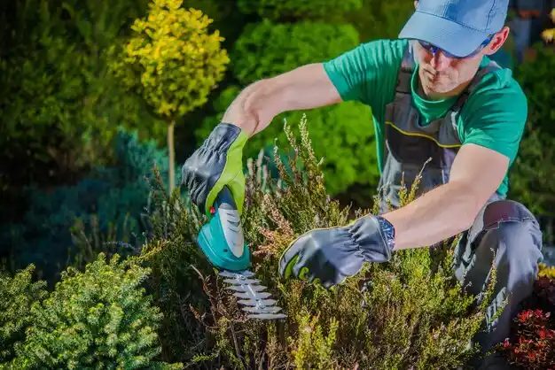 landscaping services Kuttawa